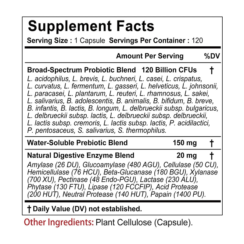 Probiotics + Prebiotics & Digestive Enzymes – Supports Digestion & Immunity