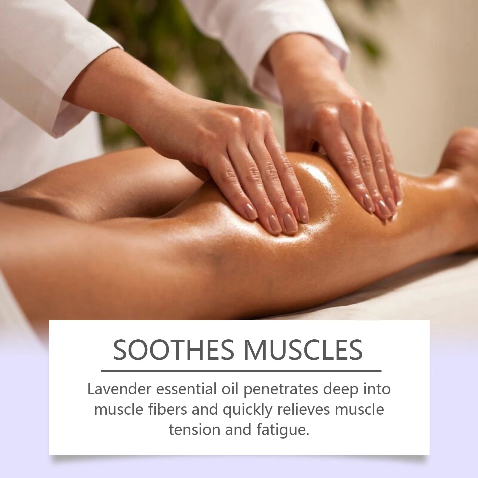 Lavender Essential Oil – Relaxing Massage & Body Moisturizing Oil